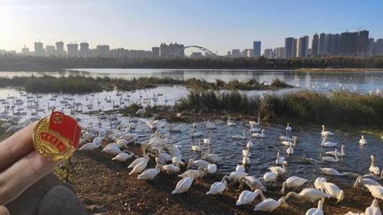 mmexport1589424740082